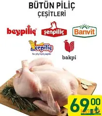 BEYPİLİÇ/ŞENPİLİÇ/BANVİT/ERPİLİÇ/BAKPİ BÜTÜN PİLİÇ/TAVUK ÇEŞİTLERİ BEYPİLİÇ/ŞENPİLİÇ/BANVİT/ERPİLİÇ/BAKPİ BÜTÜN PİLİÇ/TAVUK ÇEŞİTLERİ